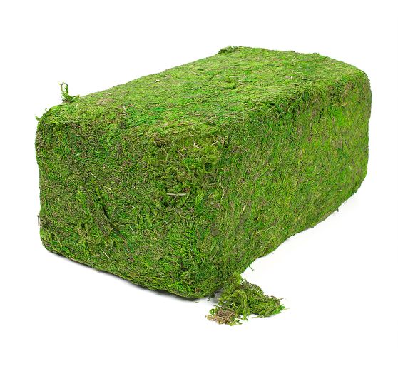 VBS Moss, 1 kg