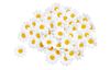VBS Daisy blossoms, 50 pieces