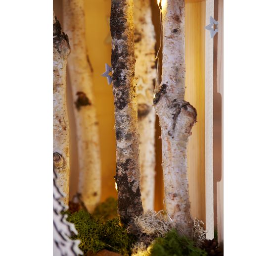 Branches de bouleau VBS « Dalke », env. L 25 cm, 10 pc.