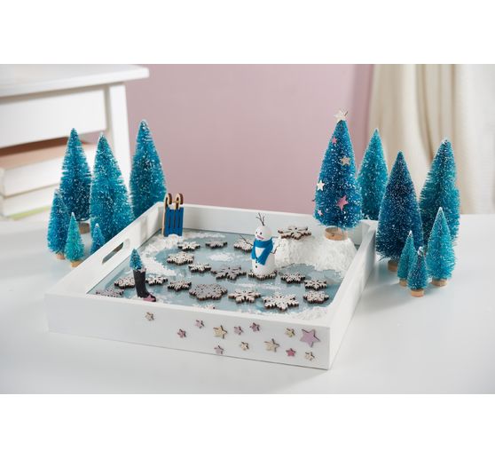 VBS Tray with plexiglass pull-out