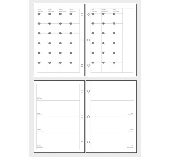 my PLANNER monthly/weekly overview