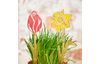 Piques déco fleurs VBS « Tulipe et Narcisse »