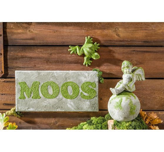 Peinture Easy Moos, 200 ml
