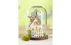 VBS Decorative glass bell jar with base,