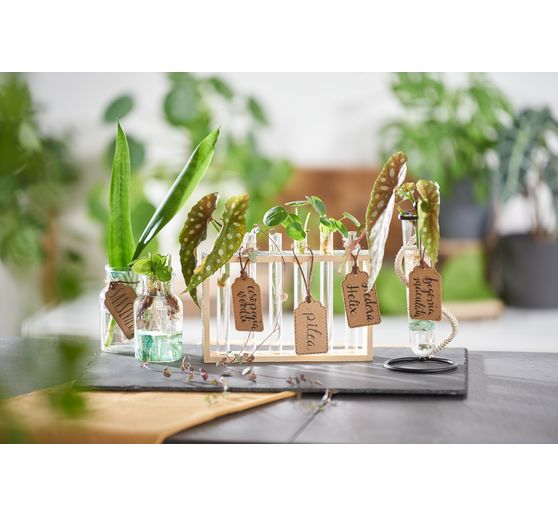 VBS Reagenzglashalter "Vase"