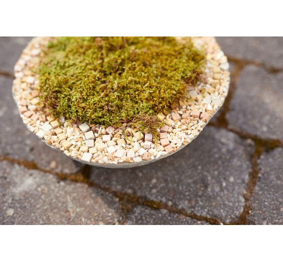 Coupe pour plante Florina, Gris foncé