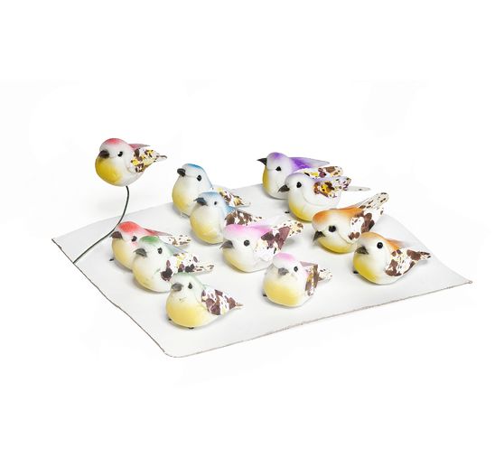12 Mini-Vögel