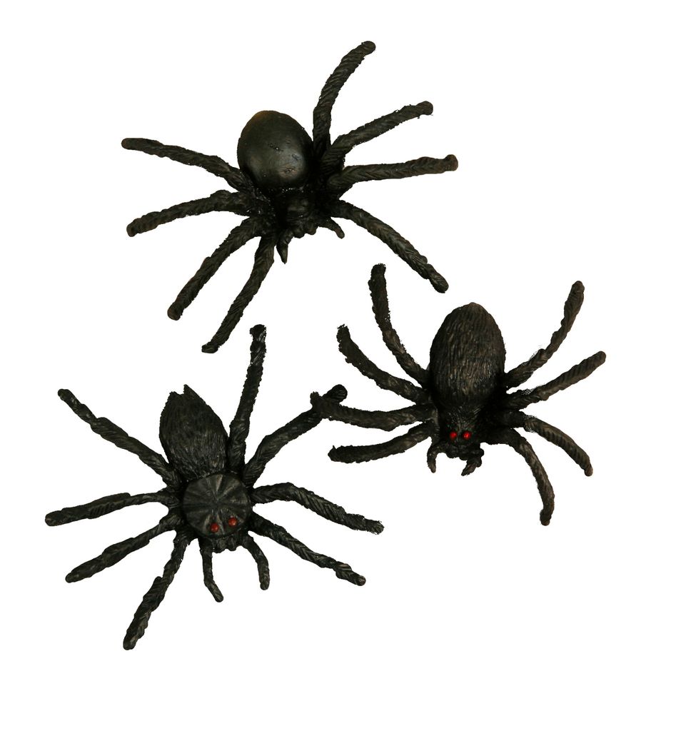 Halloween spider VBS Hobby
