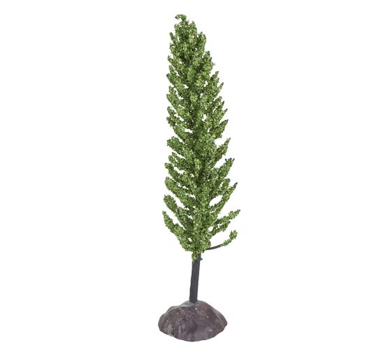 Miniature conifer