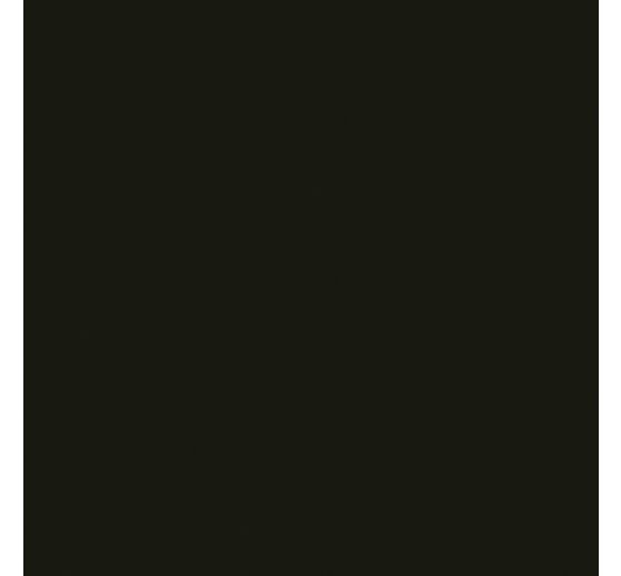 Acrylfarbe Solo Goya Triton Acrylic Basic, 750 ml