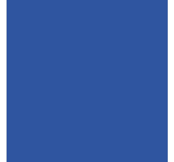 Acrylfarbe Solo Goya Triton Acrylic Basic, 750 ml