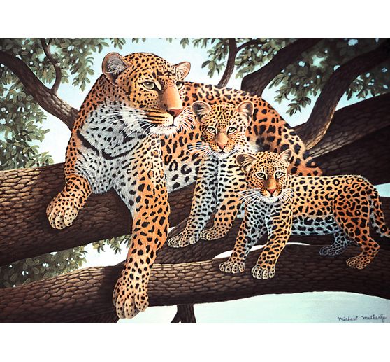 Painting by numbers "Leopards"