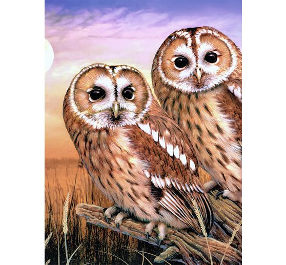 Painting by numbers "Tawny Owls", 22 x 30 cm
