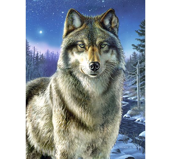 Painting by numbers "Wolf", 23 x 30 cm