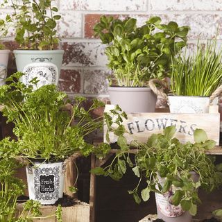Jardin au charme d'antan grâce au papier de transfert